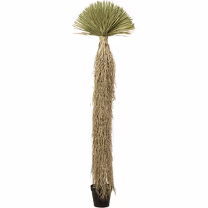 Roślina sztuczna wysoka YUCCA ROSTRATA 240 cm
