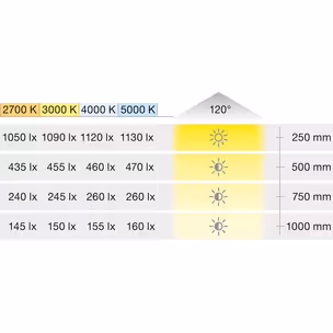 Taśma LED Häfele Loox5 2065, 12V, 8mm, 120LED/m, 4,8W/m, barwa neutralna 4000K, IP20, 5m