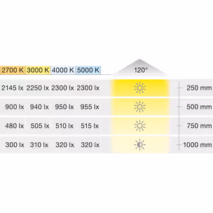 Taśma LED Häfele Loox5 2074, 12V, 8mm, 120LED/m, 9,6W/m, barwa ciepła 3000K, IP20, 50m