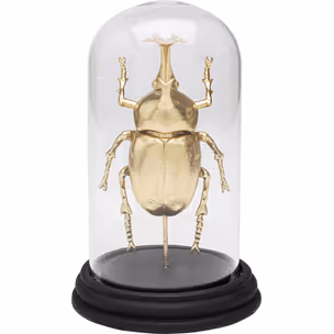 Dekoracja HERCULES BEETLE - transparentny/złoty