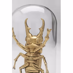 Dekoracja STAG BEETLE - transparentny/złoty