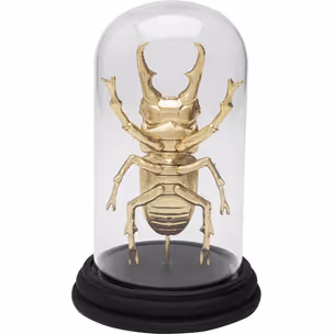 Dekoracja STAG BEETLE - transparentny/złoty