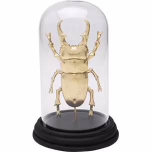 Dekoracja STAG BEETLE - transparentny/złoty