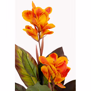 Roślina sztuczna CANNA LILY 115 cm