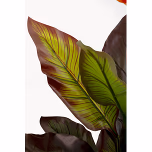 Roślina sztuczna CANNA LILY 115 cm