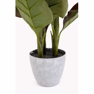 Roślina sztuczna CANNA LILY 115 cm