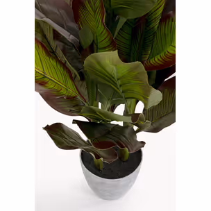 Roślina sztuczna CANNA LILY 115 cm