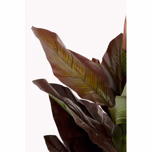 Roślina sztuczna CANNA LILY 165 cm