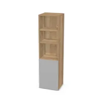 Regał z pojedynczymi drzwiczkami na dole 6206480_3d.jpg
