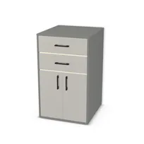 Komoda biurowa z 2 szufladami i drzwiami wpuszczanymi 6579513_3d.jpg