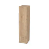 Szafa z szufladami, półkami i pojedynczymi drzwiami 6619769_3d.jpg