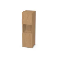 Regał z dwoma pojedynczymi drzwiczkami 6668483_3d.jpg