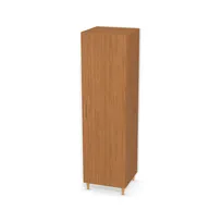 Szafa z półkami i pojedynczymi drzwiami 6670189_3d.jpg