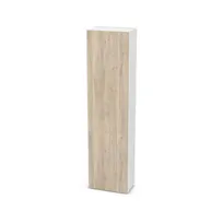Szafa z półkami i pojedynczymi drzwiami 6700238_3d.jpg