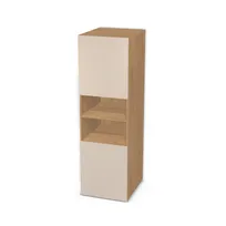 Regał z dwoma pojedynczymi drzwiczkami 6709985_3d.jpg