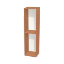 Szafa z półkami i pojedynczymi drzwiami 6737819_3d.jpg