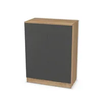 Komoda z szufladą i drzwiami 6810507_3d.jpg