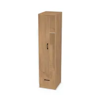 Szafa z szufladami, pojedynczymi drzwiami i drążkiem 6836817_3d.jpg