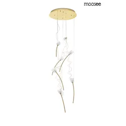 MOOSEE Lampa wisząca TULIPPE 7 DISC - złoty