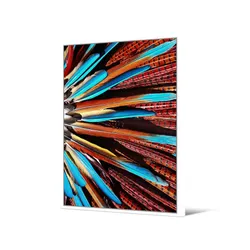 Obraz pióra TOIG22802 104x144 cm - wielokolorowy