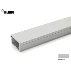 Listwa zamkowa E23 - aluminium / dł. 250 cm