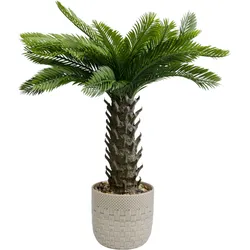 Roślina sztuczna CYCAS 70 cm