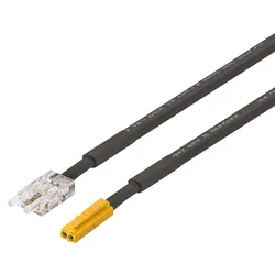 Przewód zasilający, do taśmy Häfele Loox5 LED COB, 12 V, 8 mm, 2-żyłowa (technologia monochromatyczna lub Multi-White 2-przewodowa)