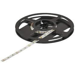 Taśma LED Häfele Loox5 3044, 24V, 8mm, 2x120LED/m, 4,8W/m, 2700-5000K, IP20, 5m