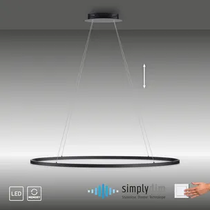 Lampa wisząca TITUS 2393-13 - antracyt
