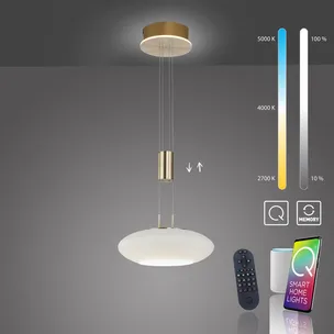Lampa wisząca Q-ETIENNE 2075-60 - matowy mosiądz