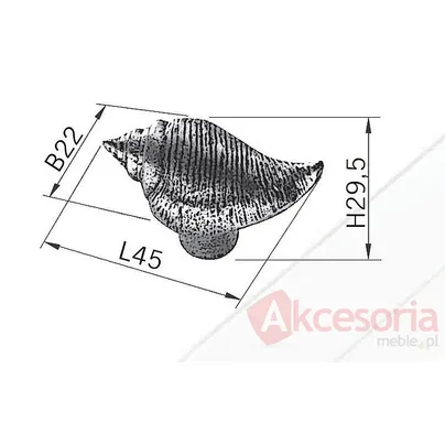 rysunek techniczny Gałka Muszla H085-45 Z Kolekcji Venezia Stary Mosiądz