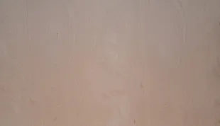 Buk wodoodporny, klasa 2/2 Sklejka 10 mm (1250x2500) Wilgocioodporna 1/2 Buk Jednorodna (S)