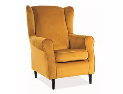 Fotel BARON Velvet - curry Bluvel 68