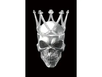 Obraz na szkle SKULL II 80x120