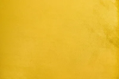 Krzesło welurowe MARGO - żółty/złoty