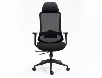 Fotel ergonomiczny ERGON - czarny