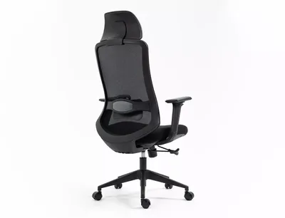 Fotel ergonomiczny ERGON - czarny