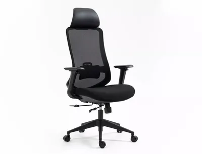 Fotel ergonomiczny ERGON - czarny