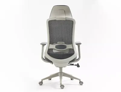 Fotel ergonomiczny ERGON - szary