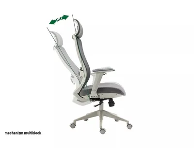Fotel ergonomiczny ERGON - szary
