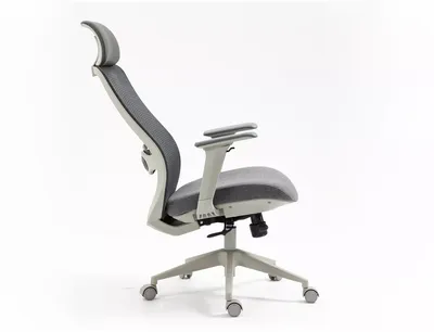 Fotel ergonomiczny ERGON - szary
