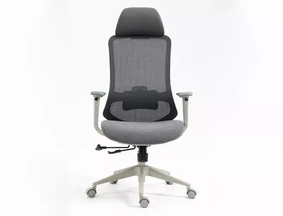 Fotel ergonomiczny ERGON - szary