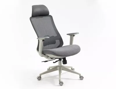 Fotel ergonomiczny ERGON - szary