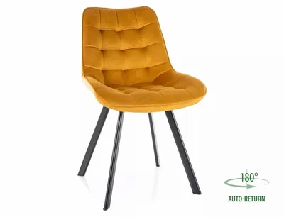 tkanina Bluvel 68 Krzesło pikowane tapicerowane MONTI Velvet - curry Bluvel 68