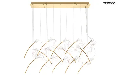 MOOSEE Lampa wisząca TULIPPE 14 LINE - złoty