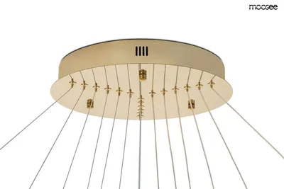 MOOSEE Lampa wisząca RING SLIM XL - złoty