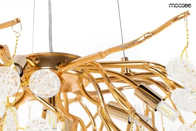 MOOSEE Lampa wisząca RIVIERA 80 - złoty/clear