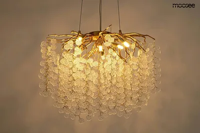 MOOSEE Lampa wisząca RIVIERA 80 - złoty/clear