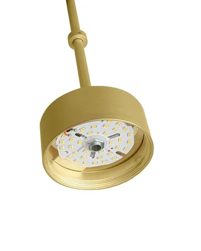 MOOSEE Lampa wisząca CAPRI DISC 3 - złoty