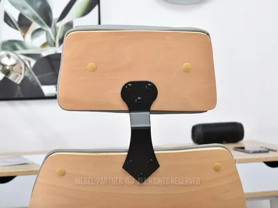 Fotel gabinetowy FRANK - buk/szary